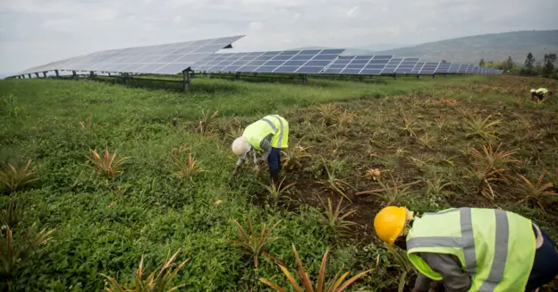 Solar Field in Rwanda