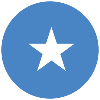 Somalia flag