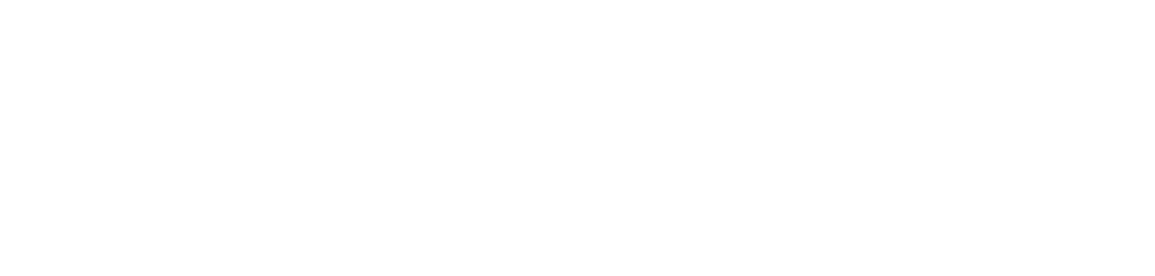 UNFCCC Logo white