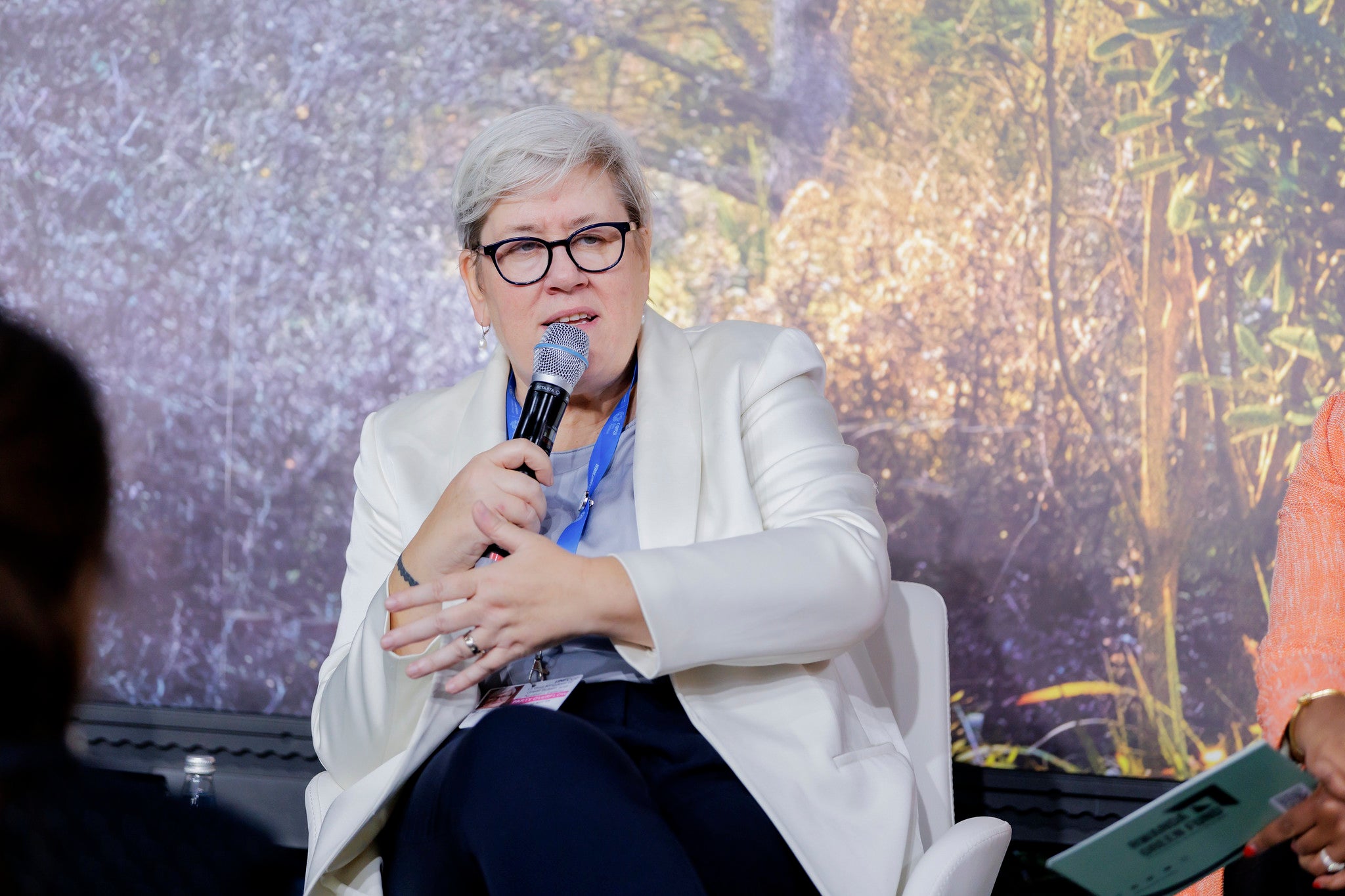 COP29 Spotlight: Center for Access to Climate Finance and UK Finance ...