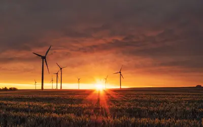 Sunrise over wind farm