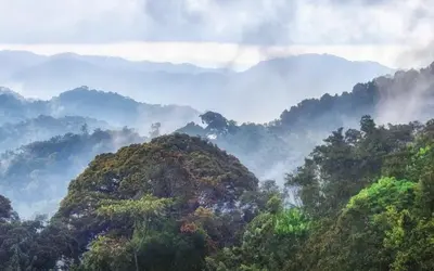Nyungwe National Park, Rwanda
