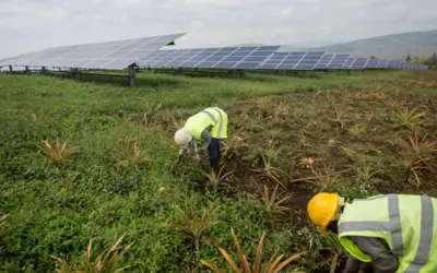 Solar Field in Rwanda