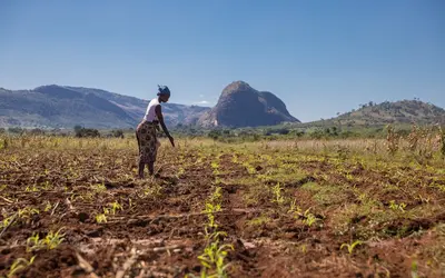 woman farming