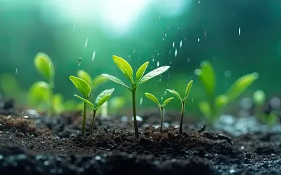 Adobe Stock: IFAD op-ed
