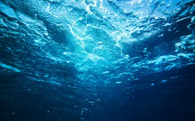 Underwater photo