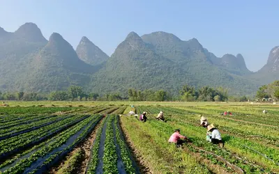 A group of people in a field with mountains in the background.