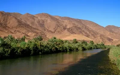 View of the Draa River flowing through a desert landscape, bordered by green vegetation and palm trees, with rocky brown mountains rising in the background under a clear blue sky.