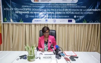 Madame Arlette Soudan-Nonault, Ministre de l’environnement, du développement durable et du bassin du Congo (MEDDBC)