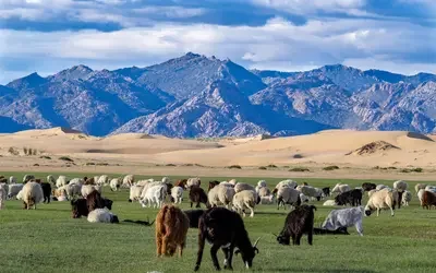 Landscape in Mongolia