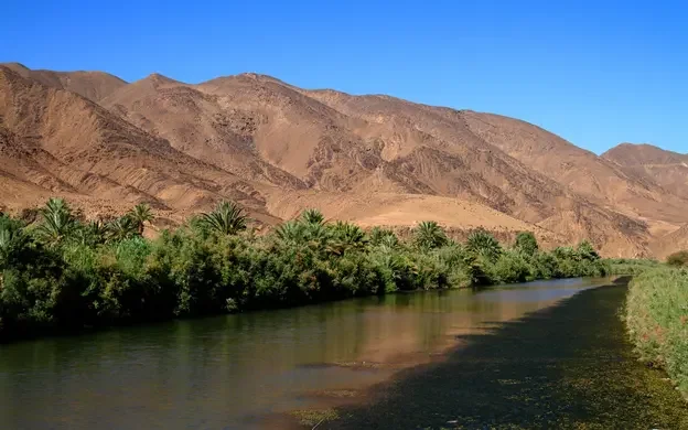 View of the Draa River flowing through a desert landscape, bordered by green vegetation and palm trees, with rocky brown mountains rising in the background under a clear blue sky.