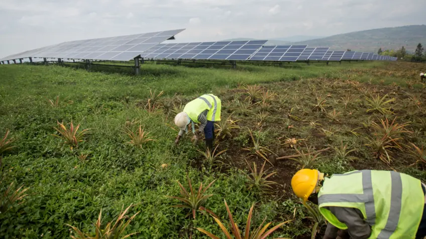 Solar Field in Rwanda