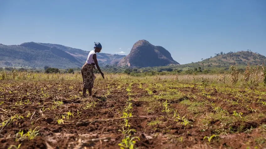 woman farming