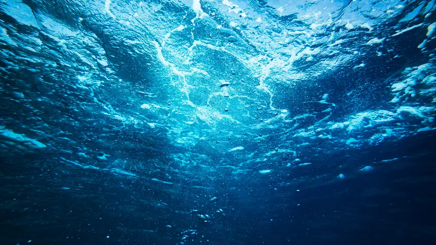 Underwater photo