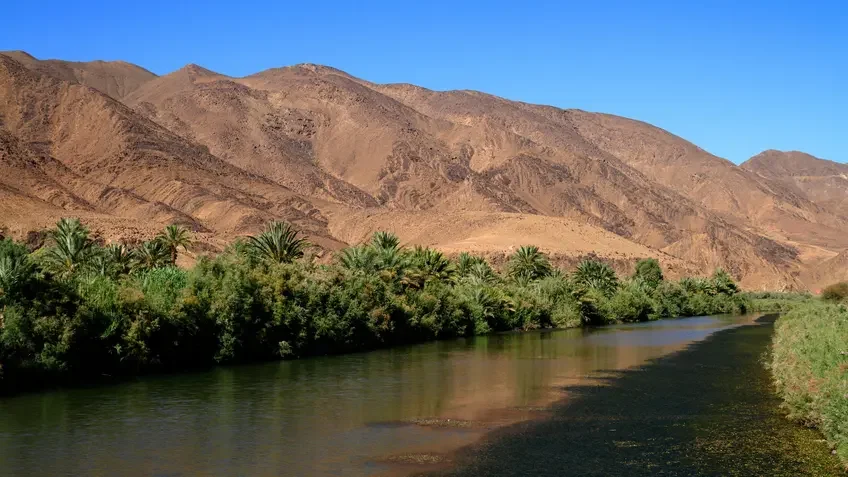 View of the Draa River flowing through a desert landscape, bordered by green vegetation and palm trees, with rocky brown mountains rising in the background under a clear blue sky.