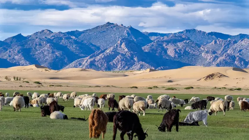 Landscape in Mongolia