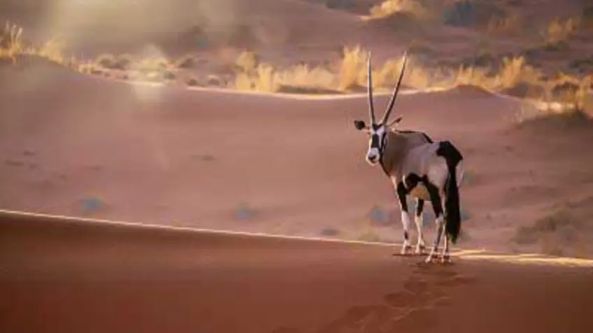 Namibia climate change plan for sustainable development