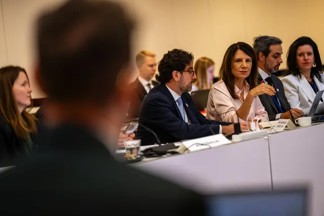Participant speaking into a microphone during a Steering Committee Meeting session in Denmark, 2026, seated at a conference table with other attendees, laptops, and meeting materials.