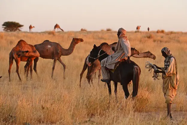 chad desert