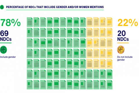 ccgap graph