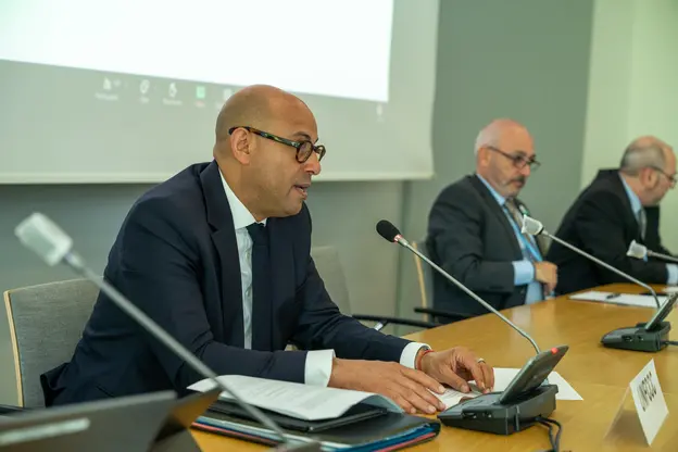 UNFCCC Executive Secretary Simon Steill