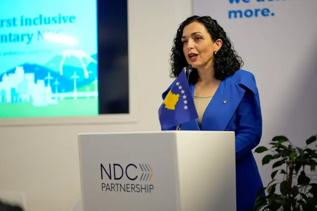 Catalyzing Coordinated Climate Action Through the Global Call