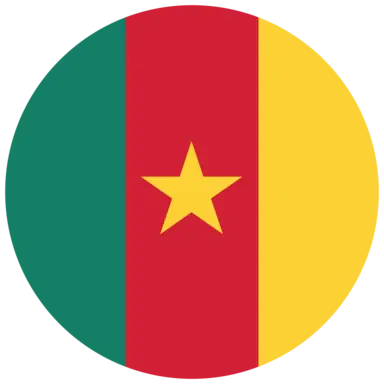 Cameroon flag