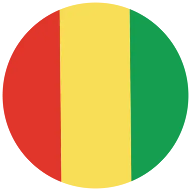 Guinea flag