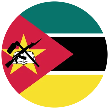 Mozambique flag