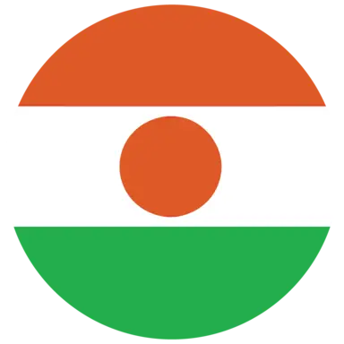 Niger flag