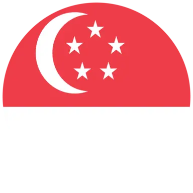 Singapore flag