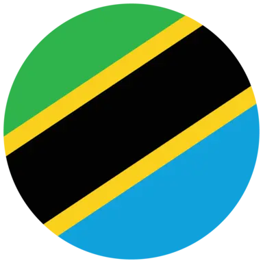 Tanzania flag