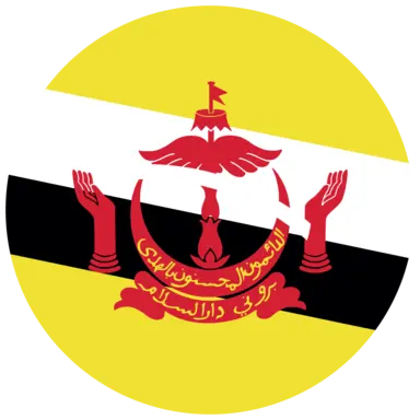 Brunei Flag