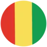 Guinea flag