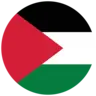 Palestine flag
