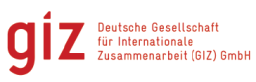 GIZ Logo