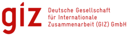 GIZ logo