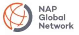 NAP Global Network logo